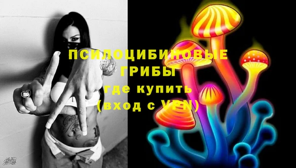 мет Гусиноозёрск