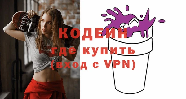 эйфоретик Гусь-Хрустальный