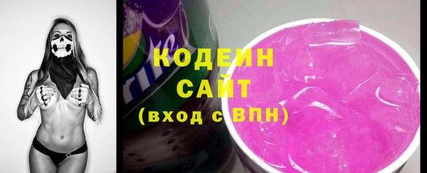 ГАЛЛЮЦИНОГЕННЫЕ ГРИБЫ Гусев