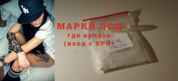 ГАЛЛЮЦИНОГЕННЫЕ ГРИБЫ Гусев