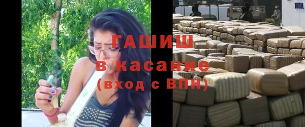 эйфоретик Гусь-Хрустальный