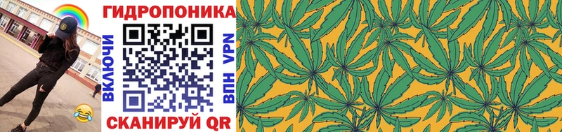 Купить закладки  Ленинск  Конопля план 